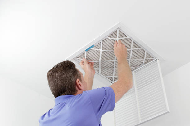 Best Air Duct Mold Removal  in West Slope, OR